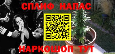 мяу мяу мука Белорецк